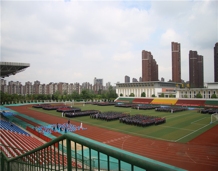 1506390847120979.jpg 10106.jpg