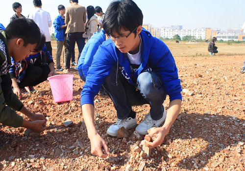 分工明确,各司其职